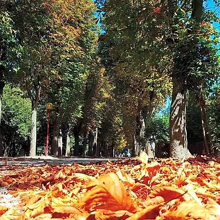 Il Gabbiano Giallo Πανσιόν Fano (Pesaro and Urbino)